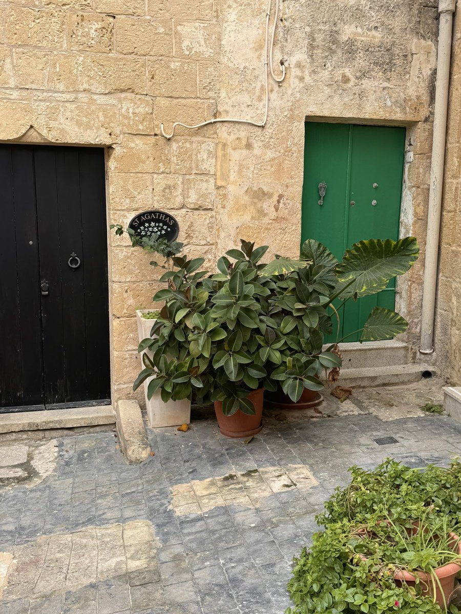 DH_Maintenance's tweet image. Exploring down a #lovely #quaint #side #street in #rabat &amp;amp; came across the #beautifully front #courtyard #splendid ❤️ #malta