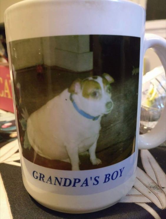 𝖈𝖍𝖆𝖇𝖆𝖟𝖎𝖙𝖊 (@raisinchoirgirl) on Twitter photo 