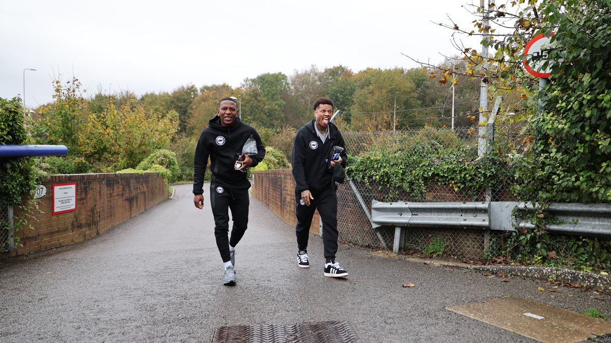 BHAFC's tweet photo. Welcome back home, boys! 💙🤍 https://t.co/WLjH4luVNg