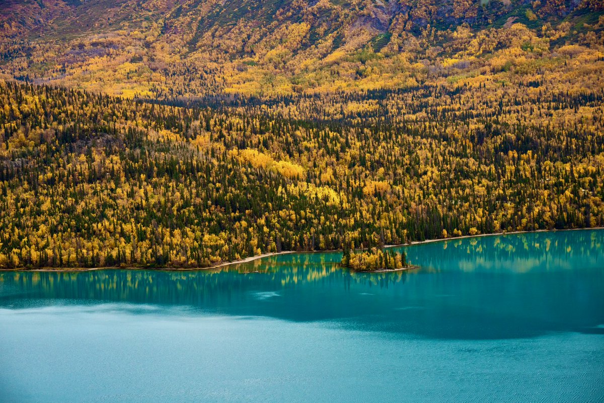 “The Lord himself goes before you and will be with you; he will never leave you nor forsake you. Do not be afraid; do not be discouraged.” (Deuteronomy 31:8) #Alaska #Fall