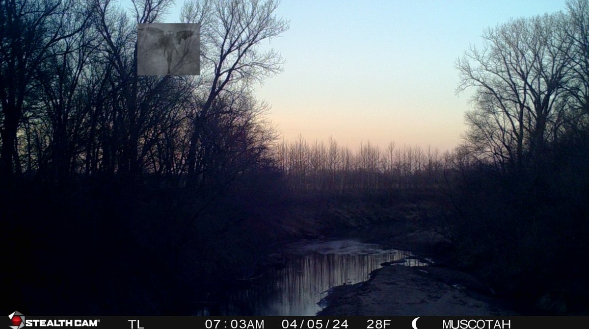 USGS Kansas tweet media