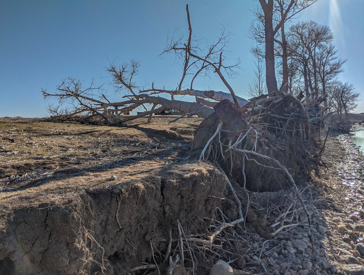 BLMWyoming's tweet image. We're excited to start a shoreline restoration project at the Hogan and Luce Recreation Area north of Cody! Sections of eroded bank will be resloped and filled, mitigating potential hazards to the campsites and their visitors. #BipartisanInfrastructureLaw #BIL #YourPublicLands