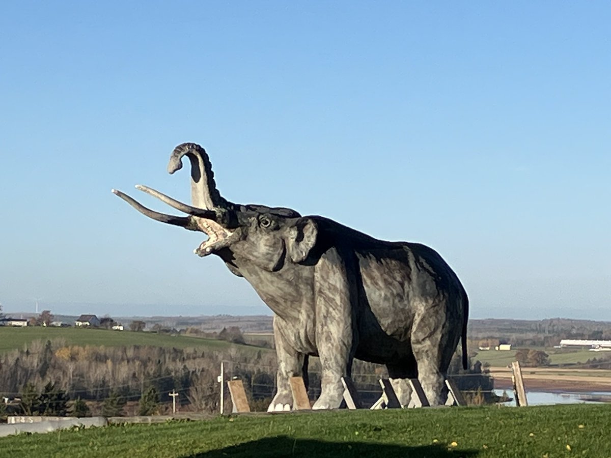 Tim Fedak, PhD FRCGS tweet media