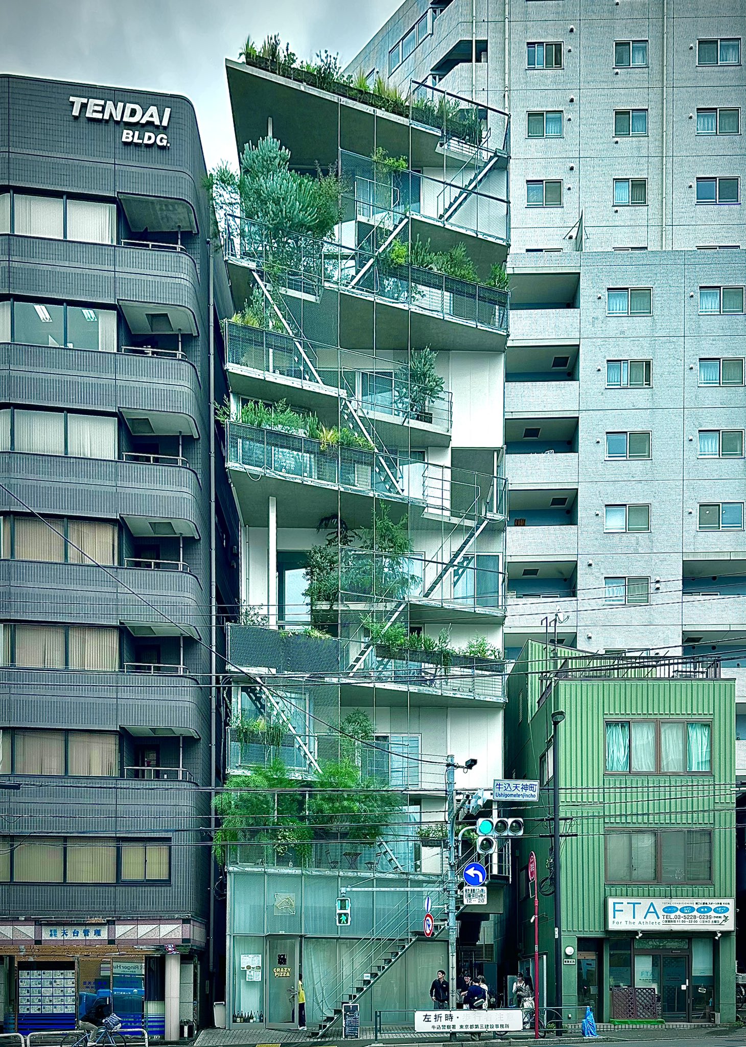 建築的空間の原始的構造―Aruntaの儀場とTodasの建築