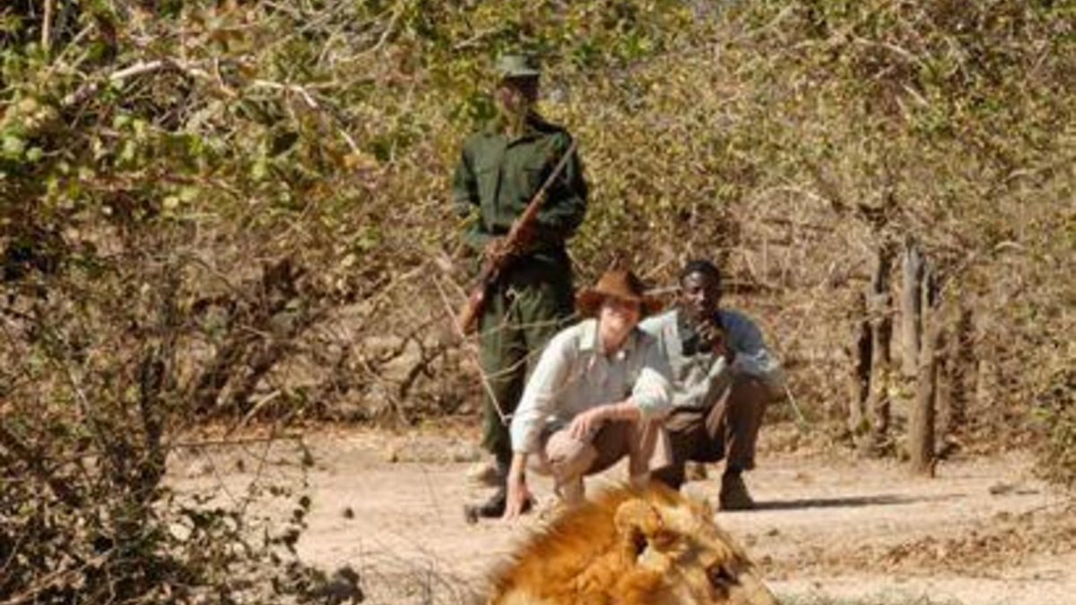 A visit to #Zambia should include South Luangwa National Park,  one of the finest wildlife sanctuaries in #Africa, and home of the original walking safari pioneered by Norman Carr in the 1950s. Safari in stylish elegance at Time + Tide's Mchenja Camp buff.ly/3AelaFM