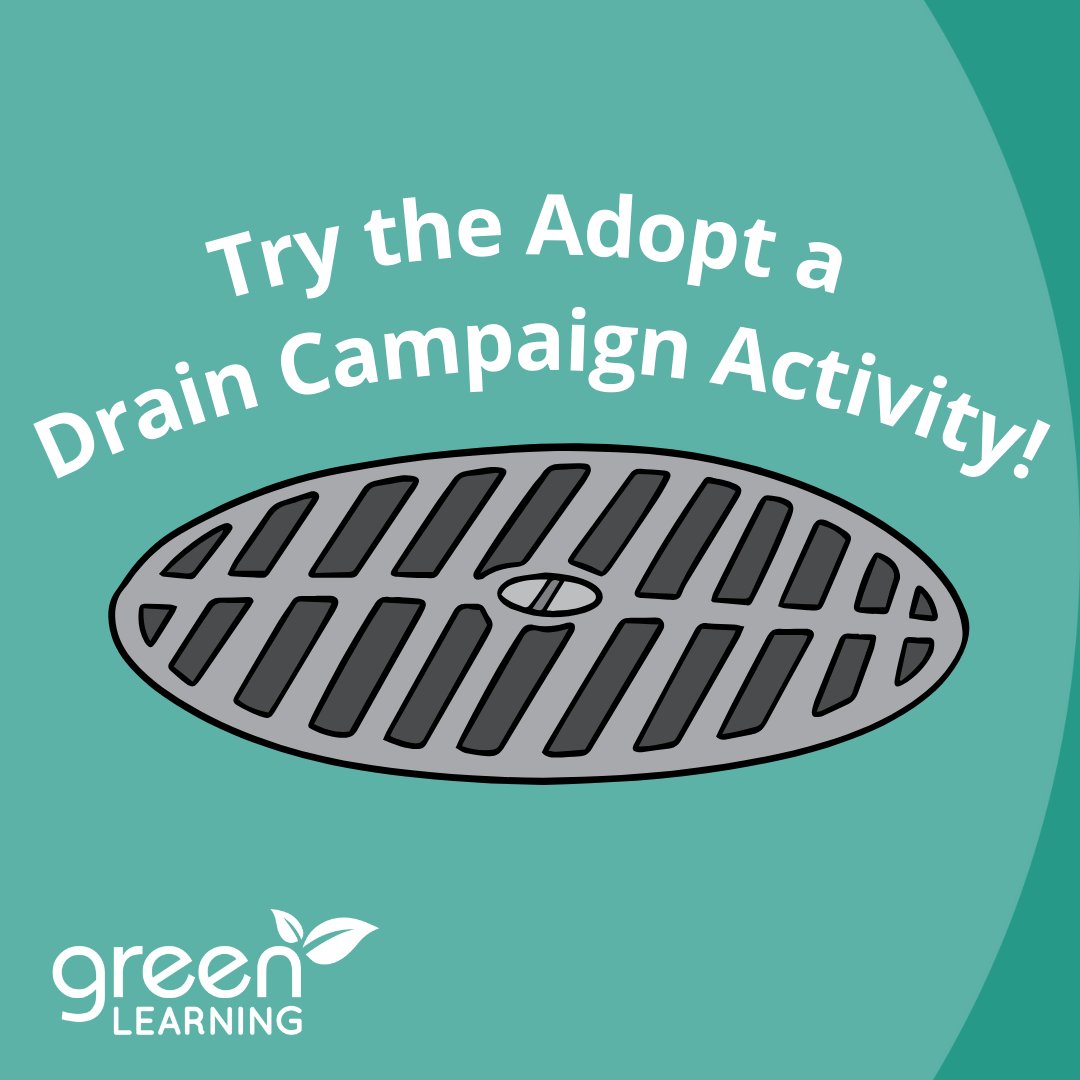 GreenLearning tweet media