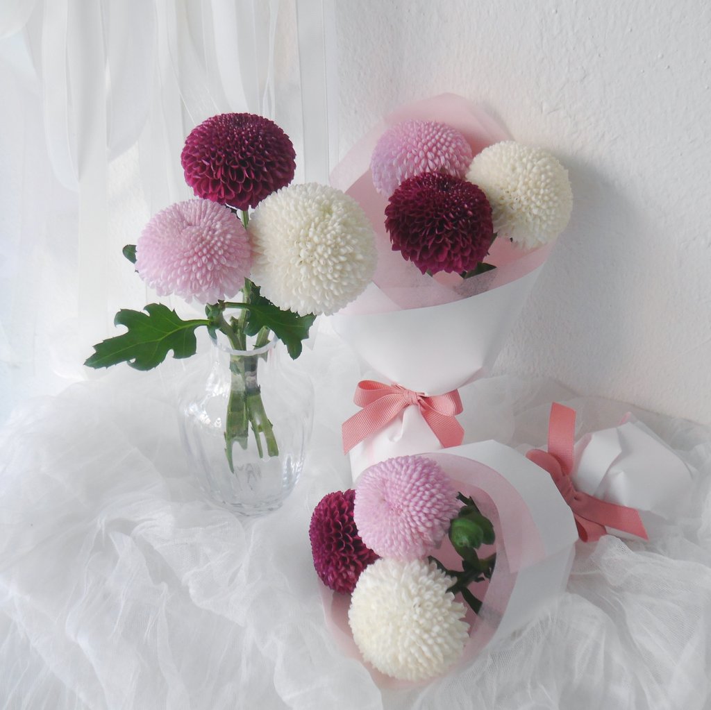 잘 지내고 계시지요?😊 저는 가나디 수발을 들며 잘 지내고 있습니다!
조만간 몇가지 아이템을 들고 올 것 같아요. 일교차 조심하시고 건강히 곧 만나요!