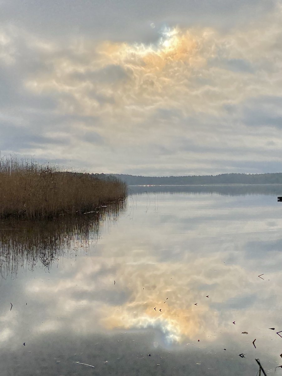 LaihoKuutamo6's tweet image. Ruovikon reunalla #pilvi #heijastus #maisema #lokakuu #luontokuva