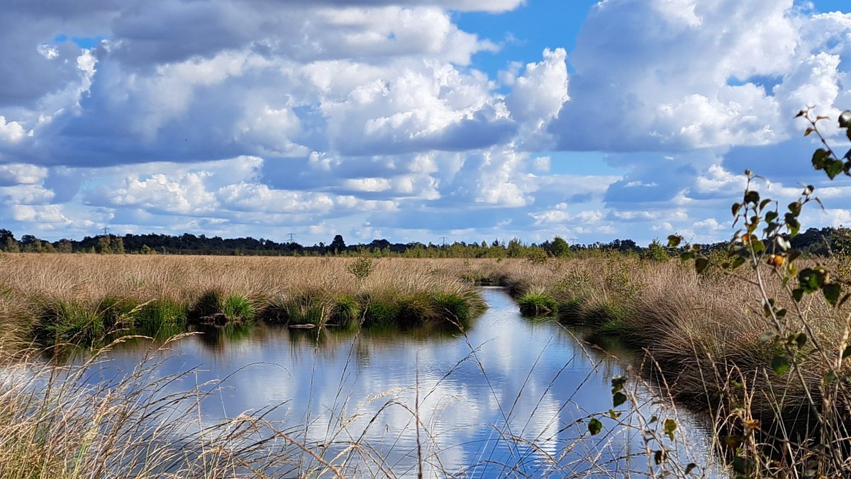 Lekker wandelen in de Peel, 'while talking English', zondag 27 okt. maandwandeling <a href="/walk_english/">Walk English</a> Start vanaf Hoeve Willem3 Helenaveen, tevoren aanmelden landvandepeel.nl/nl/de-regio/de…