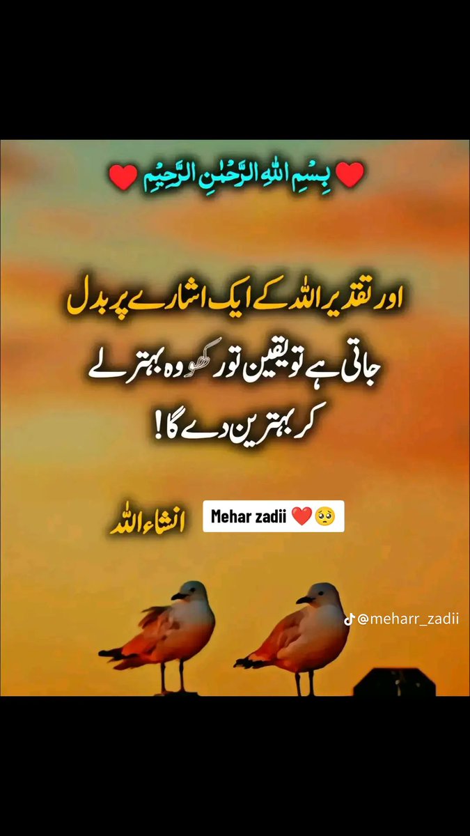 السَّلامُ عَلَيْكُم ورَحْمَةُ اللهِ وَبَرَكاتُهُ