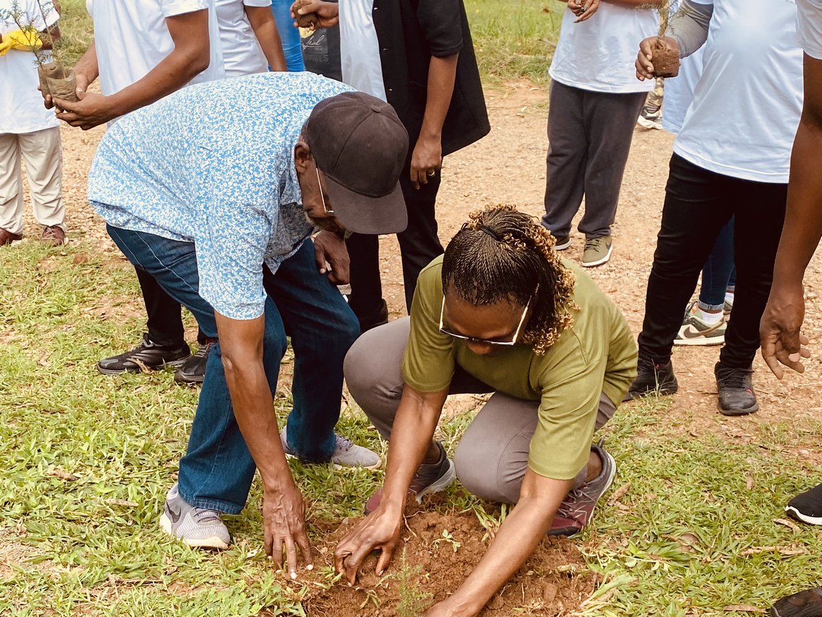 REMERA SECTOR tweet media