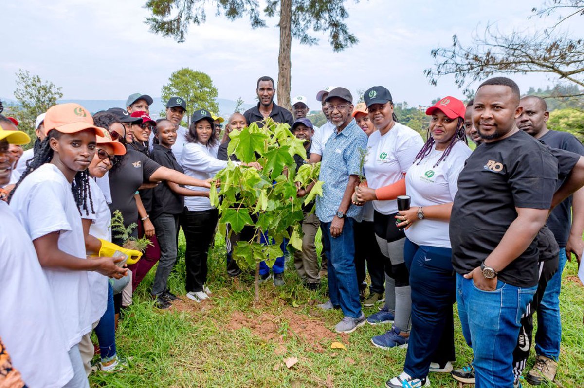 REMERA SECTOR tweet media