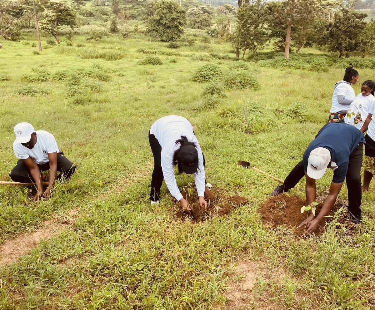 REMERA SECTOR tweet media