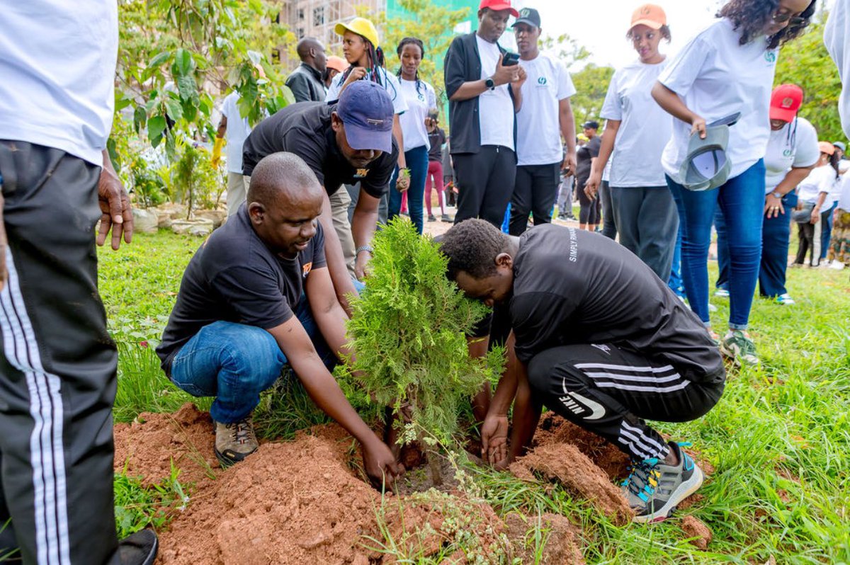 REMERA SECTOR tweet media