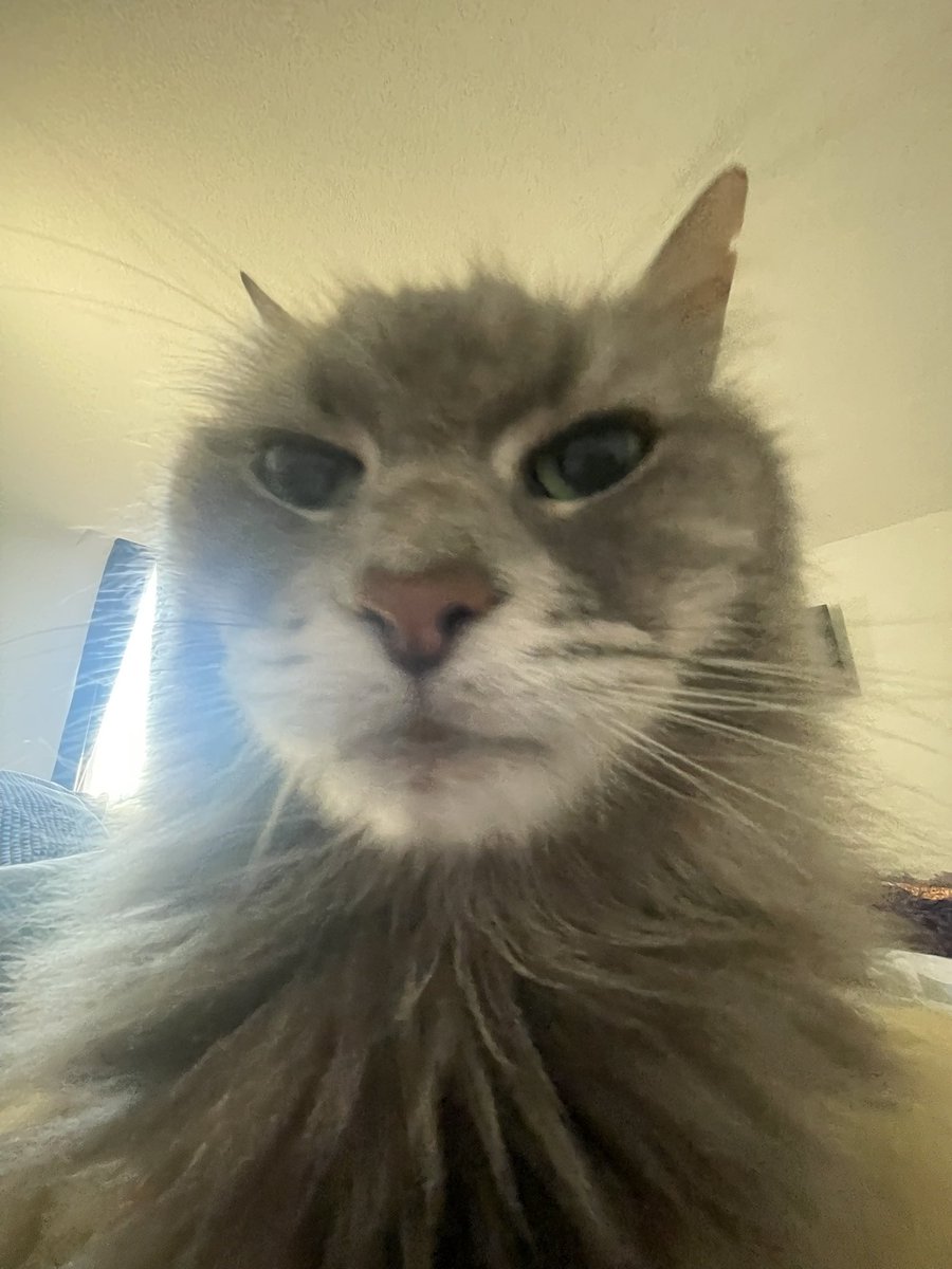 …why does he look like a middle aged man taking a selfie for his dating profile?! 🤣