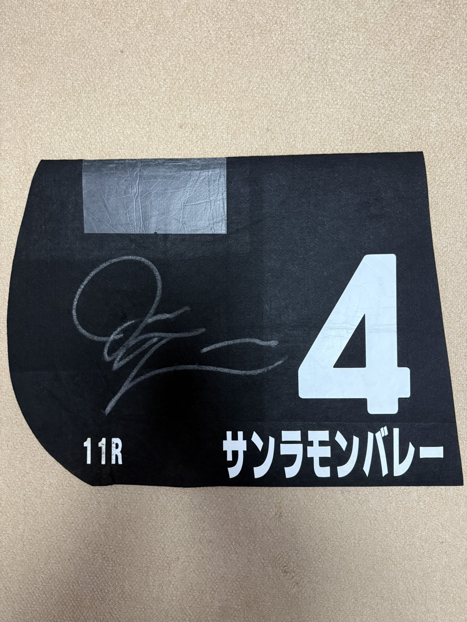 アリス 無言ですみません　カイザーバル　特別レース実使用ゼッケン WHサドルクロス パリスⅡ | ゼッケン・パッド・イヤーネット