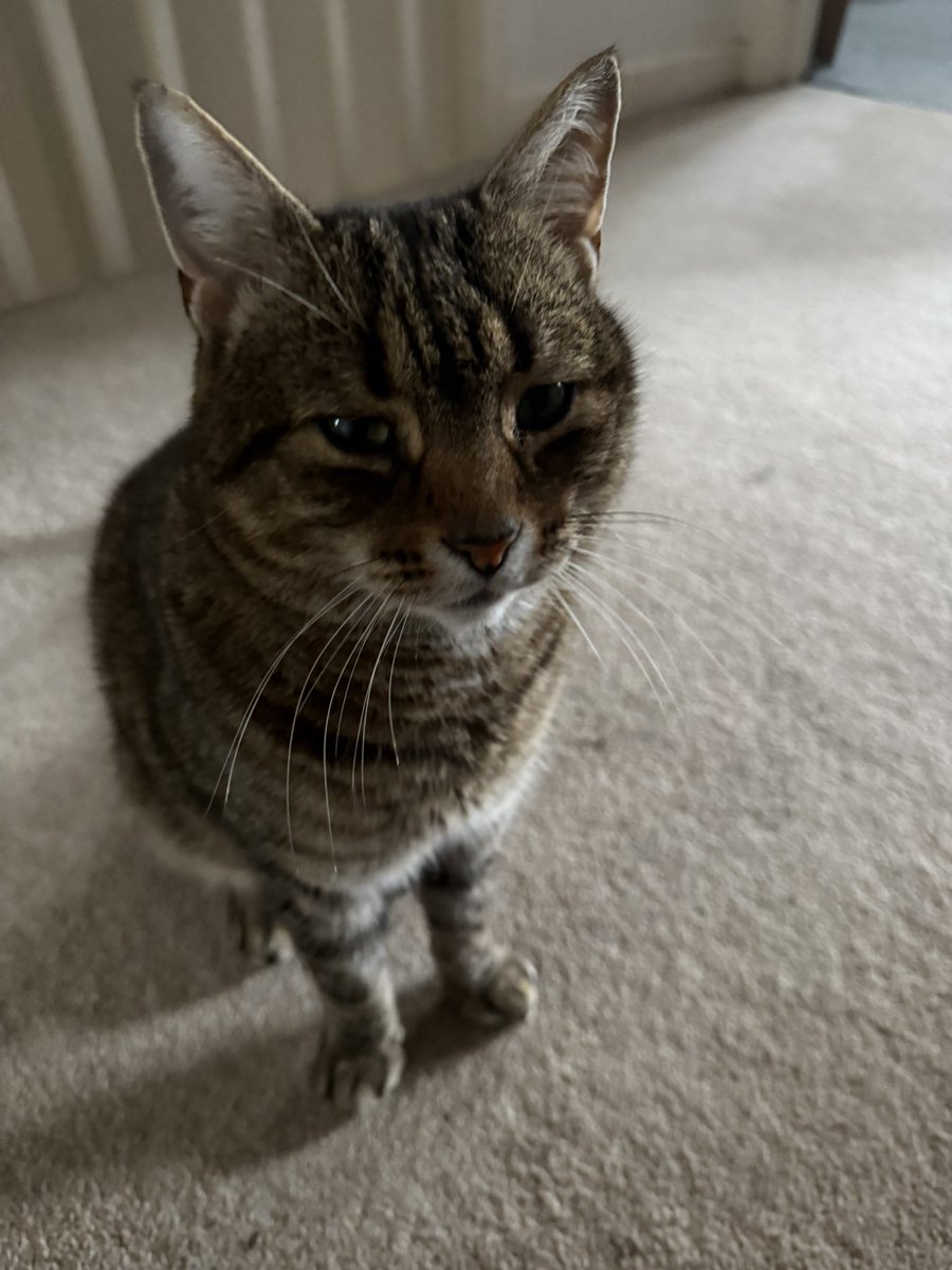 YogetaPartridge's tweet photo. @PaulFiddaman1 Right back at you from Sylvester https://t.co/LKQQYEAwbG