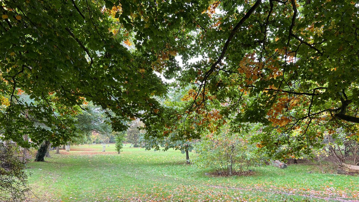 Ross Mackenzie tweet media