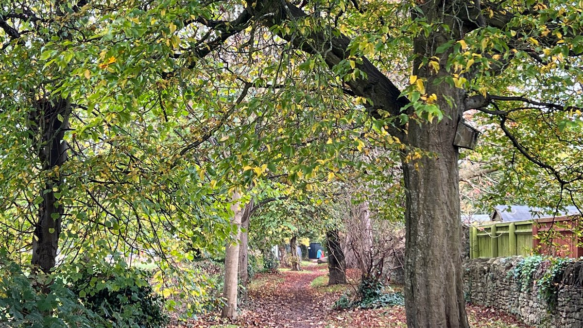 Ross Mackenzie tweet media