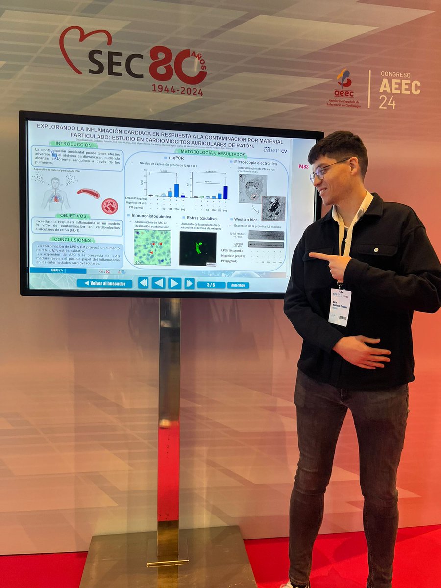 Encantados de haber tenido la oportunidad de compartir en #SEC24 el trabajo que estamos haciendo desde el <a href="/gtcv_ffis_imib/">Inv. Clin. en Trombosis CV y Cardiopatía Isquémica</a>, entre las diversas comunicaciones y posters