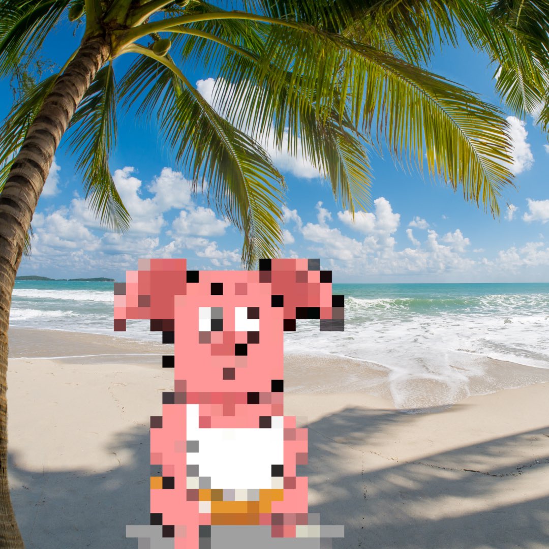 GM!!

My connection is not very good on this beach

Do I look funny to you??

$Oolong #sei