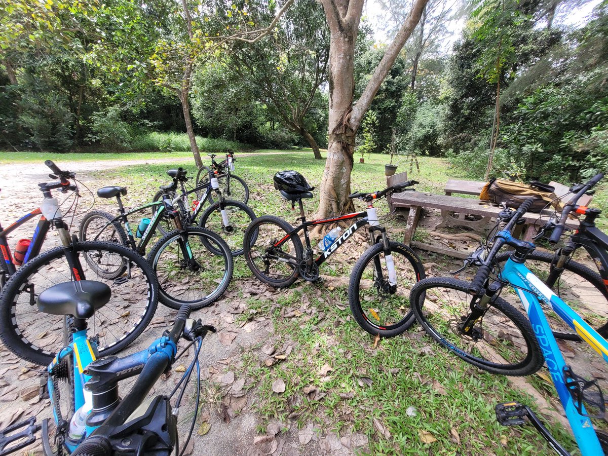Gyrowoof's tweet image. Day out mountain biking with the #Fuzzballs out at #PulauUbin today! ^^