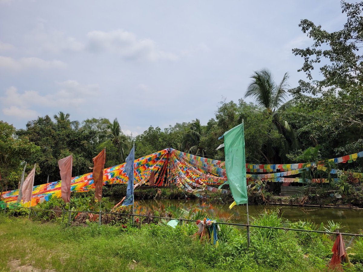Gyrowoof's tweet image. Day out mountain biking with the #Fuzzballs out at #PulauUbin today! ^^
