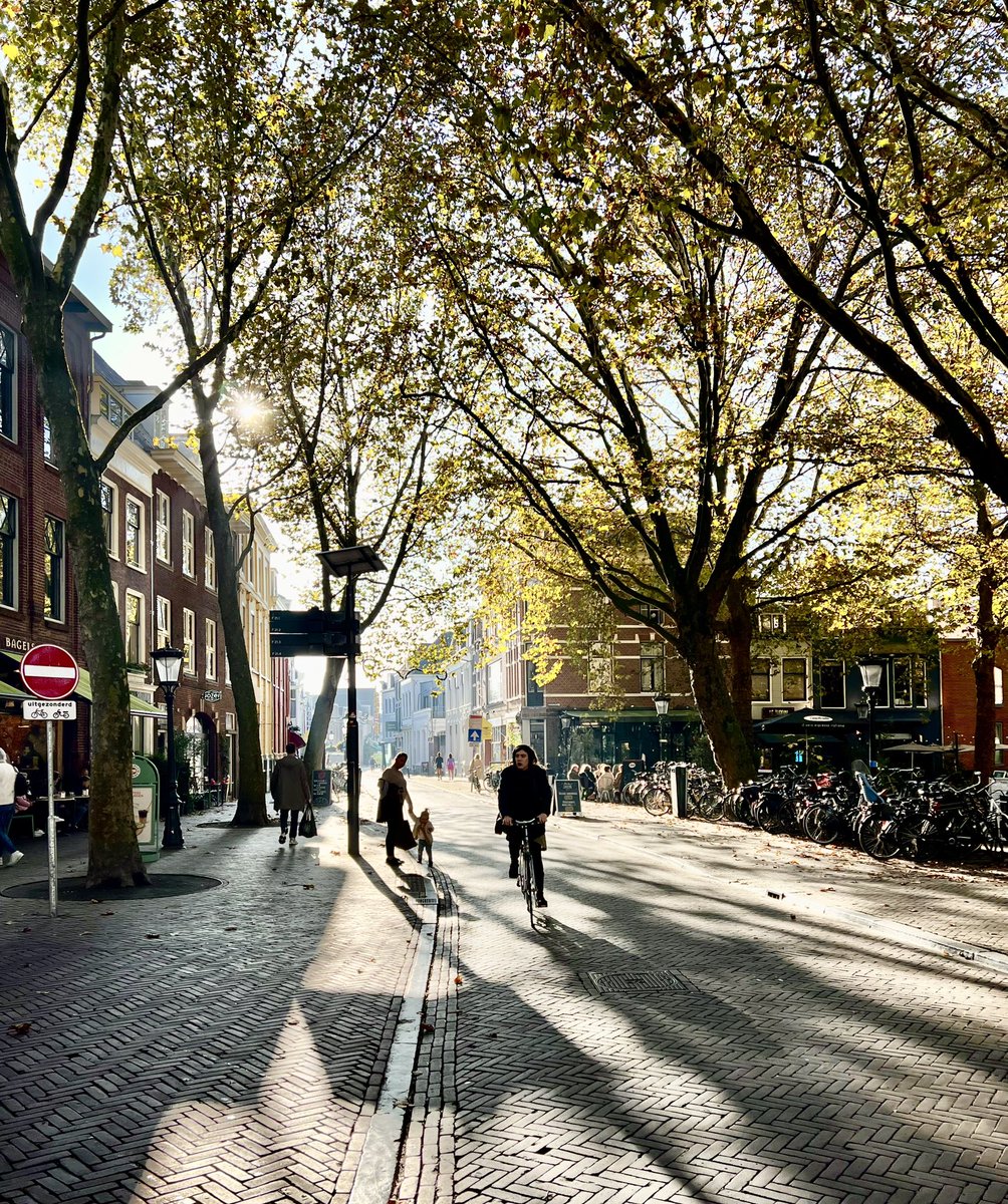 AlecBreunesse's tweet photo. #Mariaplaats, ingang #Springweg #Utrecht deze morgen om 11.00 uur met prachtig #licht! https://t.co/uEoPBn7zvH