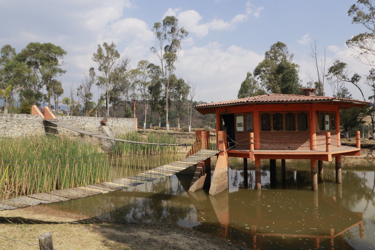 EdomexTurismo's tweet photo. ¡Vámonos de paseo por el #EstadoDeMéxico! Te damos 4 recomendaciones:
🛌 Descansar en un glamping en #Tlalmanalco; 
🧀Compra unos ricos quesos en #Ayapango; 
🏞️Visita el Centro Ecoturístico Xolotl #Jiquipilco;
⭐️Recorrer las Grutas de la Estrella #Tonatico. https://t.co/rIvG2wb8DW