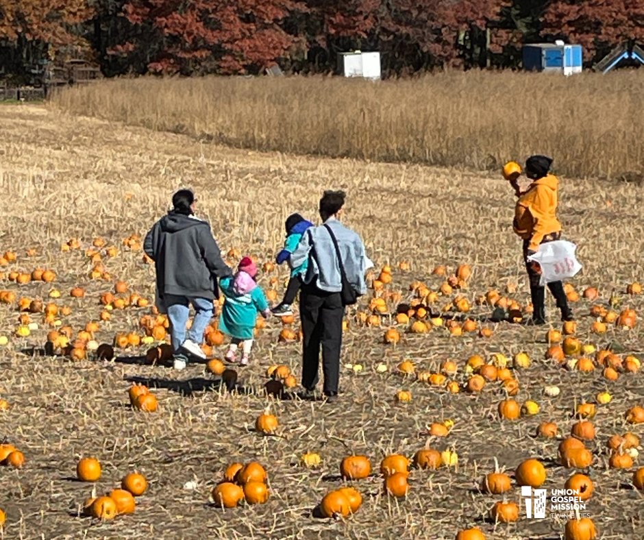 ugmtc's tweet image. 🎃 It’s National Pumpkin Day! Check out these cute pumpkins who went on a field trip to Pinehaven Farm!

#ChildDevelopmentCenter #NaomiFamilyProgram #UGMTC #NationalPumpkinDay