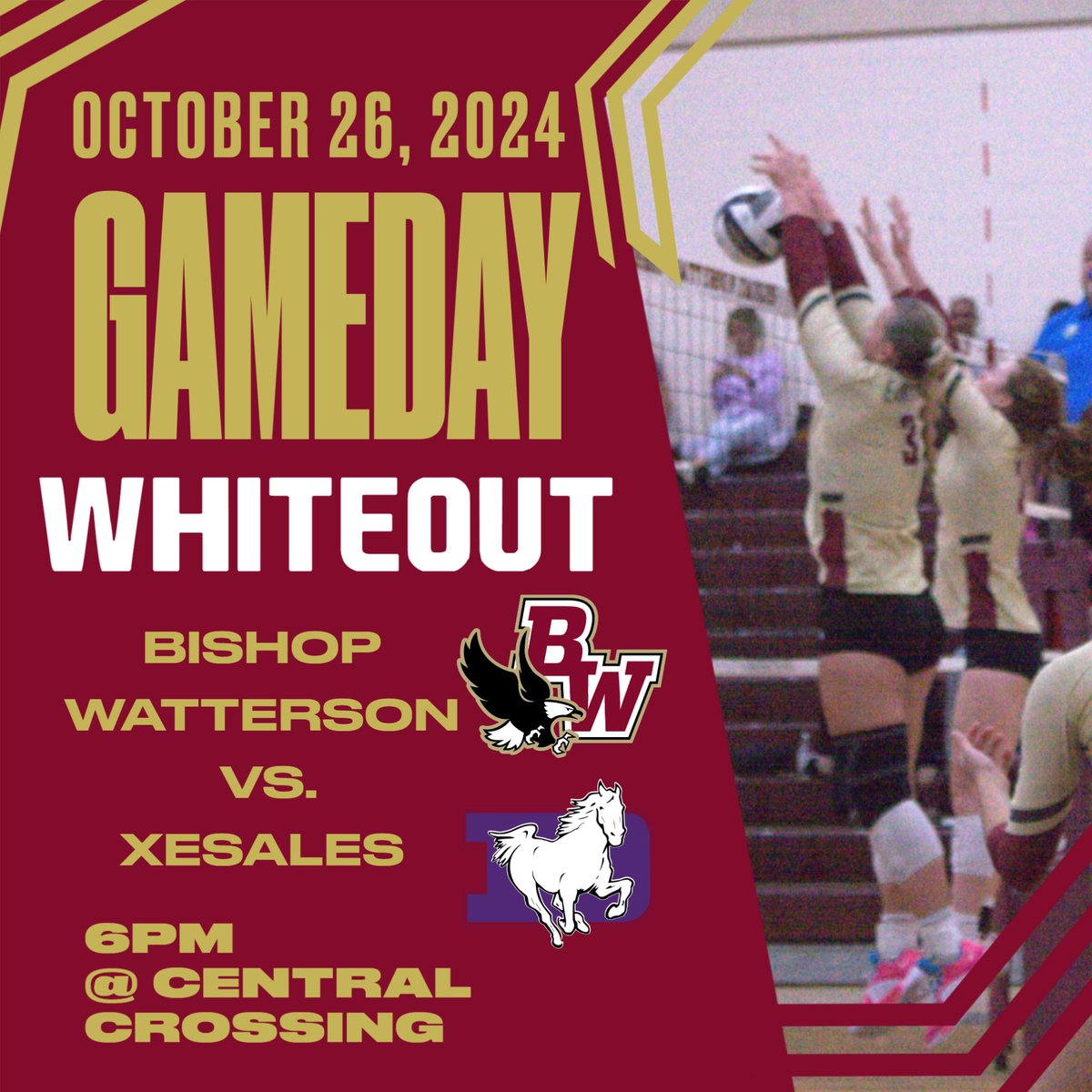 TODAY!! The #LadyEagles travel to Central Crossing High School to take on the Stallions! Come support Varsity in their District Finals at 6:00pm. #WE #GoEagles