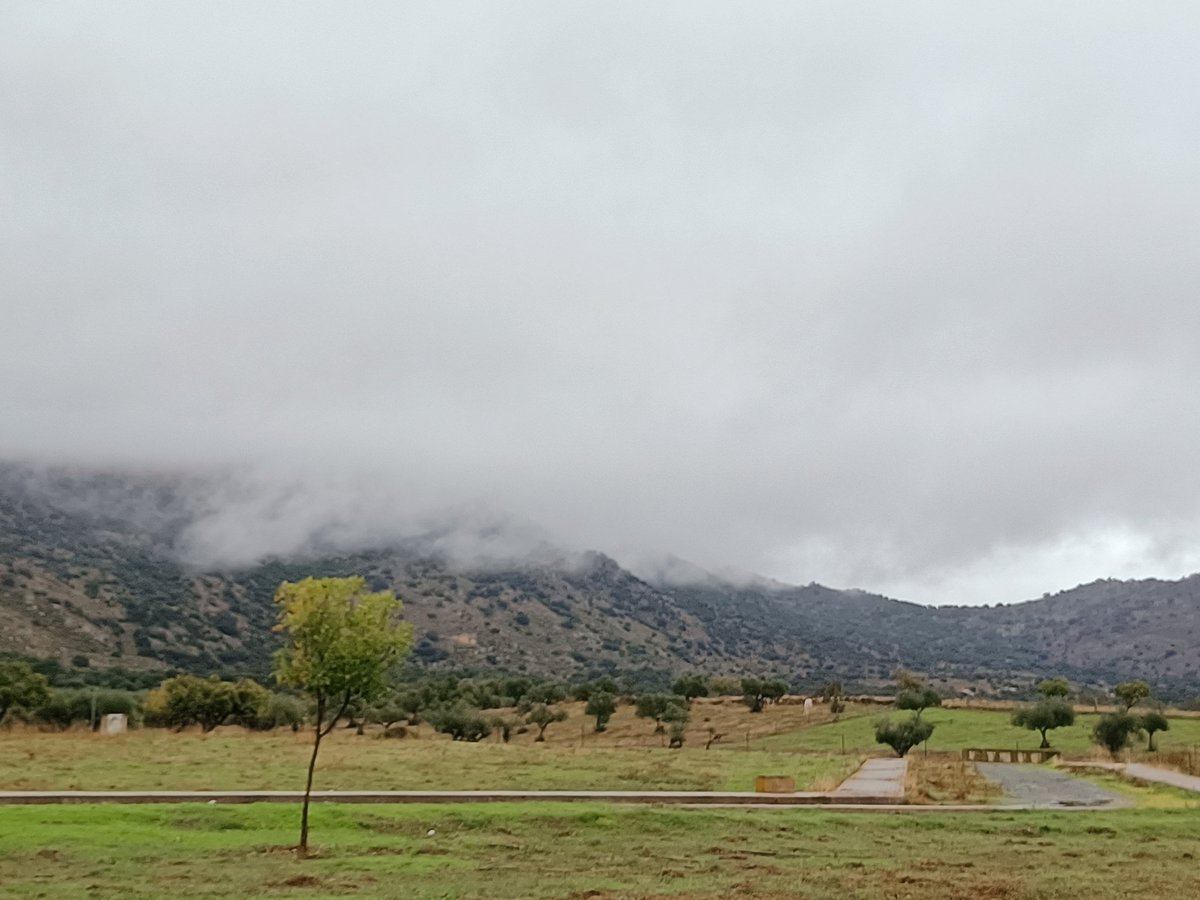 ASOCIACIÓN HISTÓRICO CULTURAL RECREADORES BALUARTE tweet media