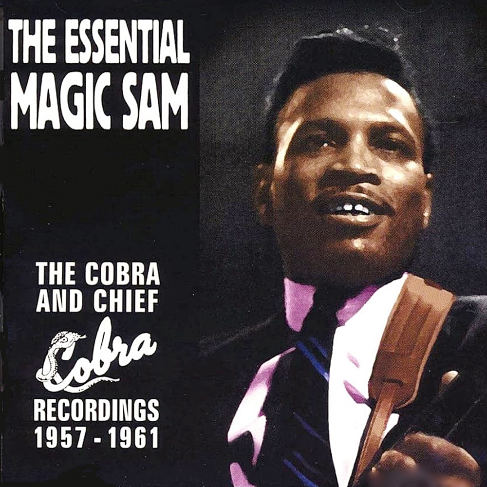 BluesRock4149's tweet photo. こんばんは
今宵はKing of Modern Blues
Sam兄貴 一世一代の名曲聴きます
#Magic_Sam
#Out_of_Bad_Luck
🎵 https://t.co/ObGlKTGhbk https://t.co/e6YSkCqZ4E