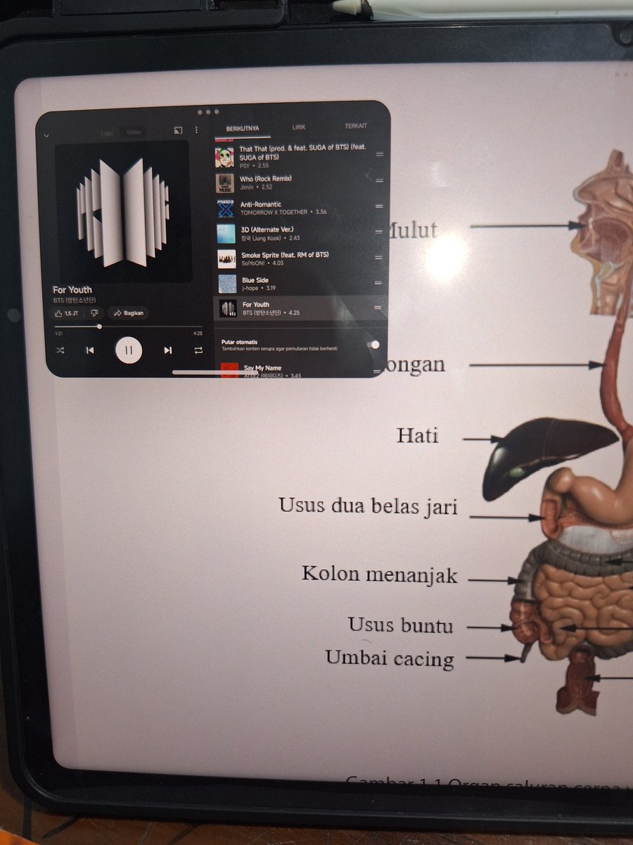୭ 🧷 isaa ˚. ᵎᵎ 🎀 tweet media