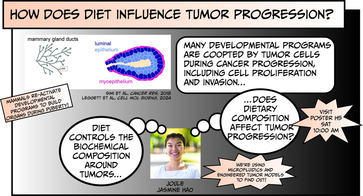 Tissue Morphodynamics Group tweet media