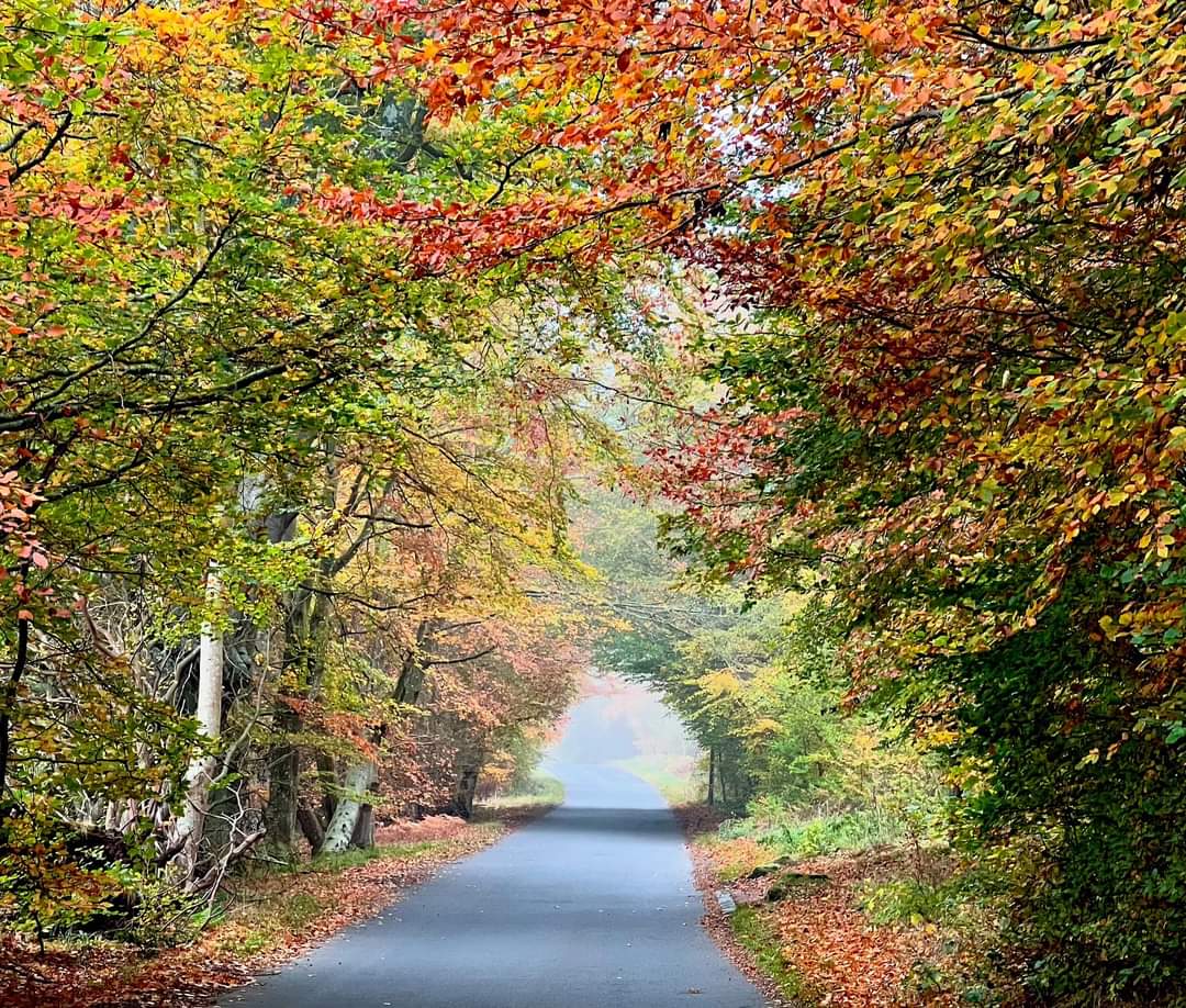 Beautiful Northumberland