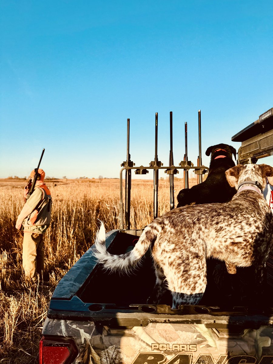 MylesPorter's tweet photo. #iowa https://t.co/Y9321B4Bro