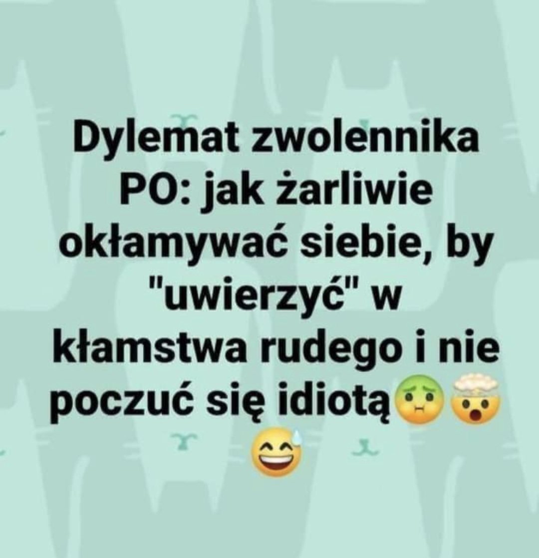JustaWitam's tweet photo. https://t.co/UKU9z1InVf