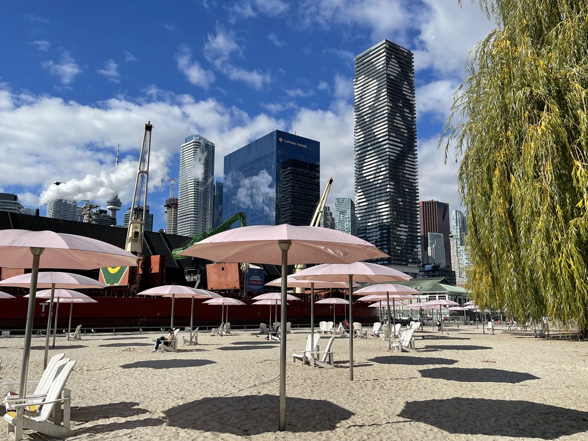 Nancy Sarnoff tweet media