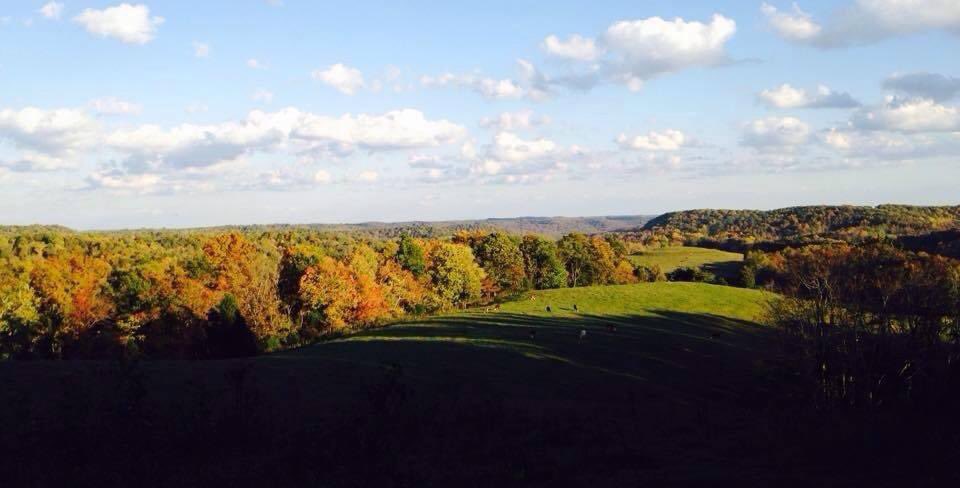 BallingerCarrie's tweet photo. Home 💙❤️ 
#Rockcastle #KyProud https://t.co/RTtvKJCeX4
