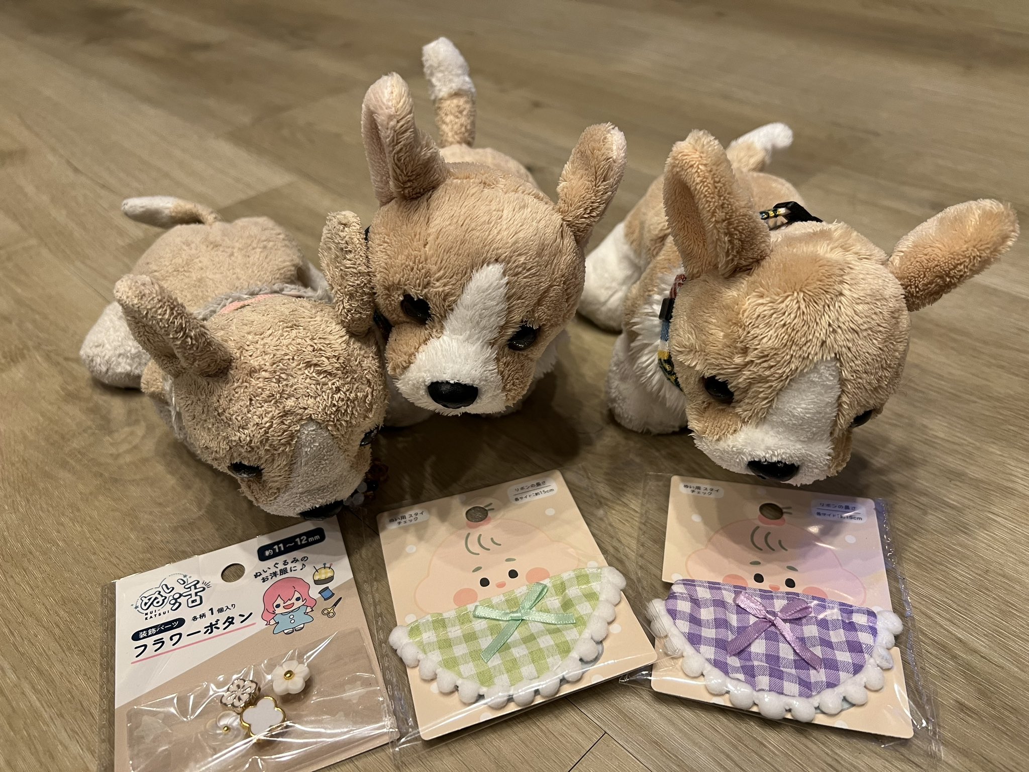 クーちゃん クーちゃん クーちゃん🐕 (@HachiwareKuu) / X