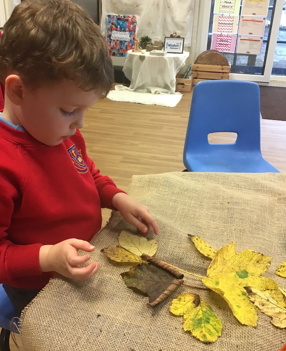 Acorn Class St David's Haigh tweet media