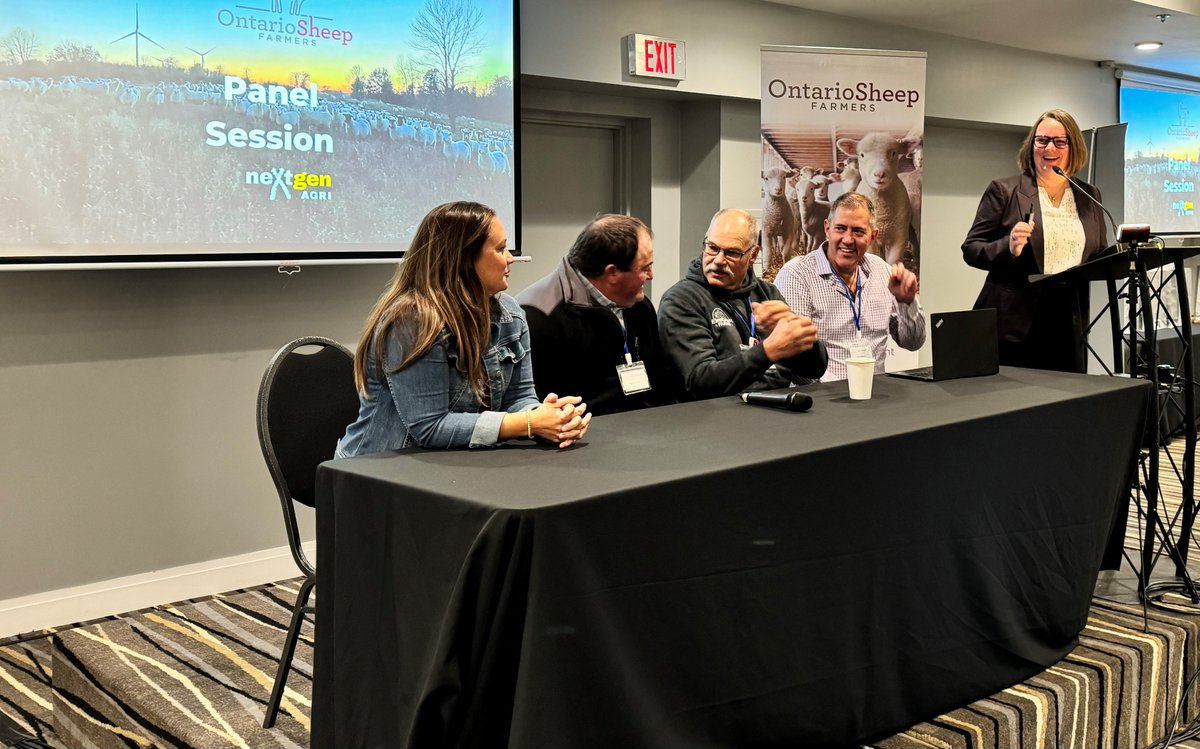 OntarioSheep's tweet photo. It's Convention day for #OntarioSheepFarmers in #Cbridge. First up is a 'breeding goals and selection criteria/ processes' panel. @Fergenetics will evaluate decision making and provide advice for achieving goals. #OSFC24 #SheepFarmers #AgEducation https://t.co/CdZ9ESFkwV