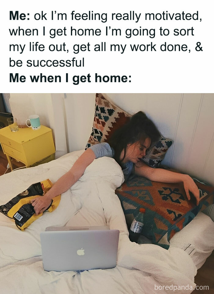 Bipolar Memes tweet media