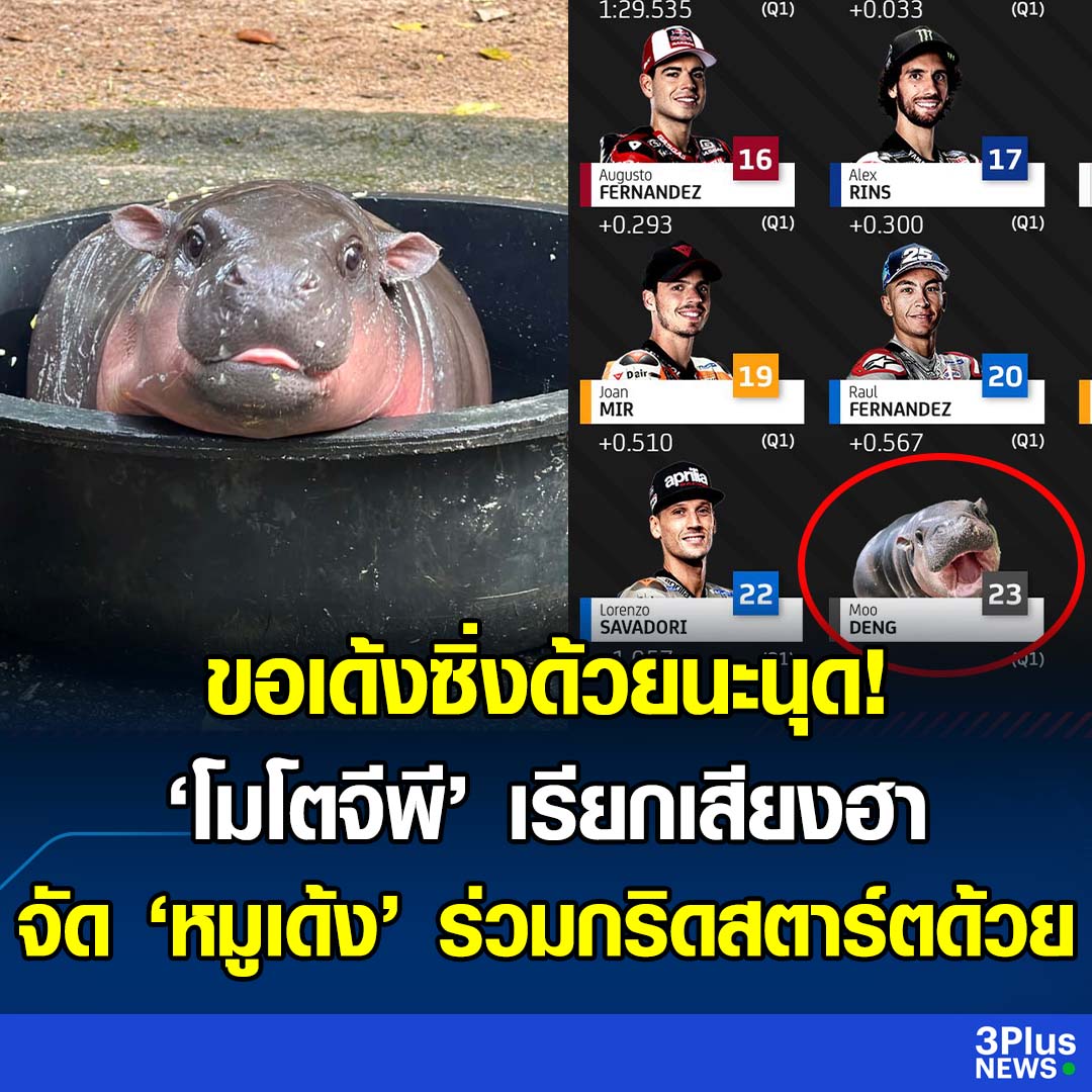 Krobkruakao3's tweet photo. ขอเด้งซิ่งด้วยนะนุด! 'โมโตจีพี' เรียกเสียงฮา จัด 'หมูเด้ง' ร่วมกริดสตาร์ตอันดับที่ 23

อ่านต่อได้ที่ : https://t.co/EuXFnEnCLH

#3PlusNews #ข่าวช่อง3 #หมูเด้ง https://t.co/8HoDMffIZb