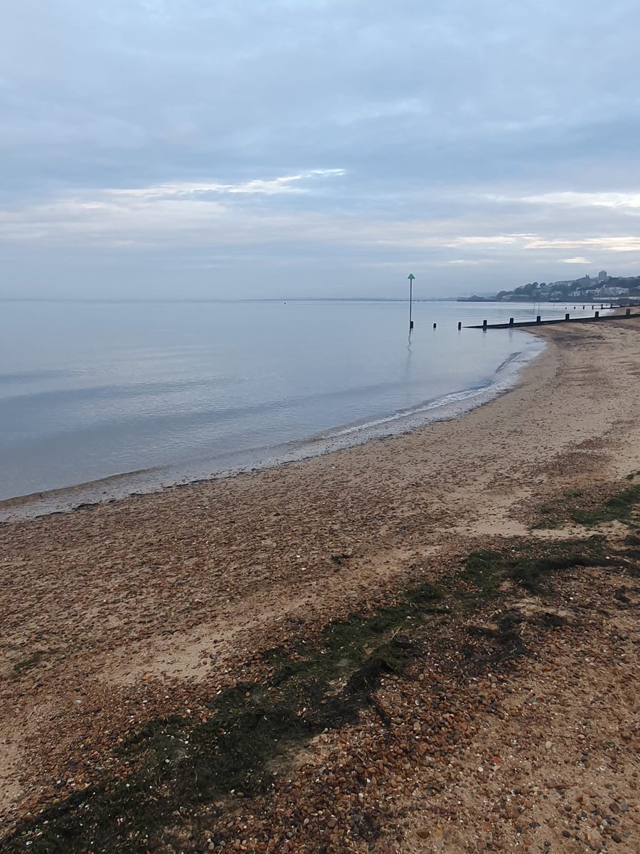 SouthendBeachCare tweet media