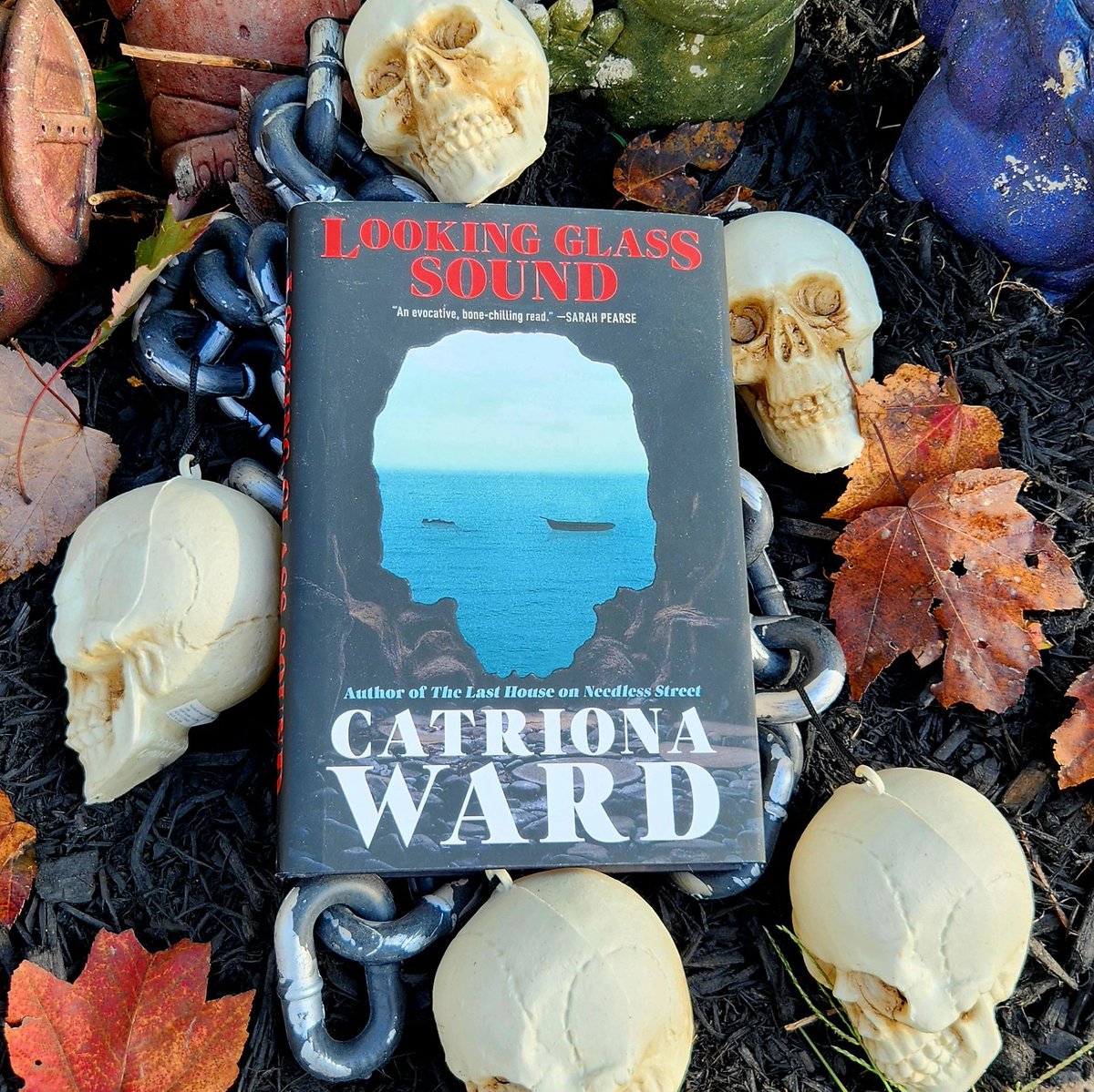 Rob H. Bedford ๐ ๐บ (@robhbedford) on Twitter photo 31 Horror Books for Halloween LOOKING GLASS SOUND by <a href="/Catrionaward/">Catriona Ward is writing</a> <a href="/TorNightfire/">Nightfire Books</a>
#horrorbooks #horrorween2024
#horror #horrorween #halloween2024 #horrornovel #halloweenbooks #horrorlit #horrorfiction
#bookstagram #gothichorror 31 Horror Books for Halloween LOOKING GLASS SOUND by <a href="/Catrionaward/">Catriona Ward is writing</a> <a href="/TorNightfire/">Nightfire Books</a>
#horrorbooks #horrorween2024
#horror #horrorween #halloween2024 #horrornovel #halloweenbooks #horrorlit #horrorfiction
#bookstagram #gothichorror