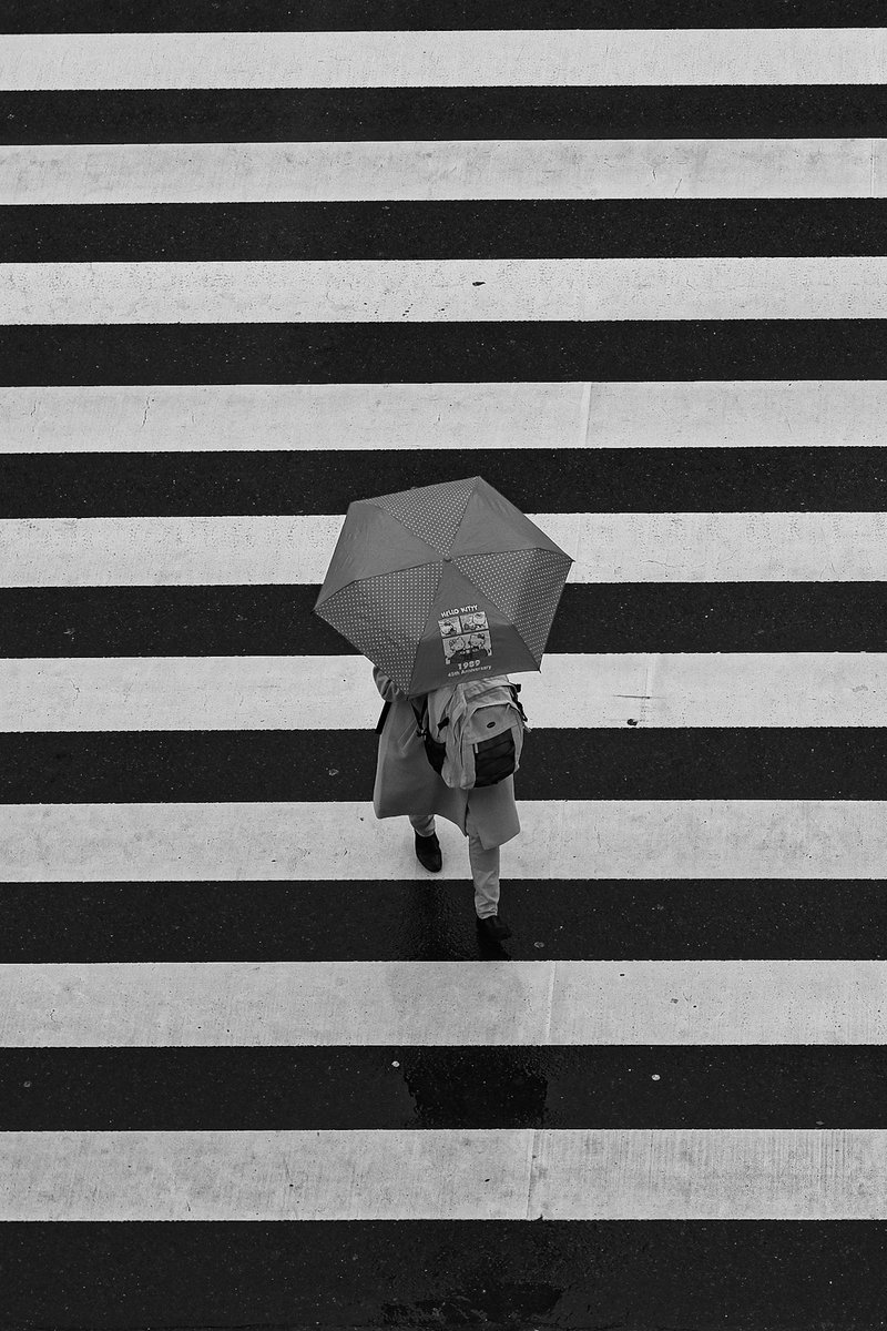 hmzry_'s tweet photo. payung dan zebra cross 📷 https://t.co/uS9wai2cHa