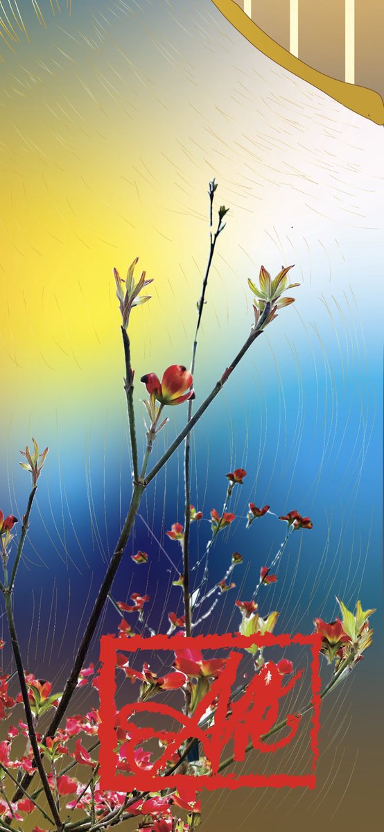 ayatsukaya's tweet photo. 新作3
【Japanese Elegance】
日本の氣品は島国の誇り
Japanese elegance is the pride of an island nation.
#japanpromotion #worldartdubai #dubai #digitalart #contemporaryart #artwork #nework #artcollector #artcurator #Peacock #一般社団法人ジャパンプロモーション #ドバイ #孔雀 https://t.co/pd0OA0IXWj