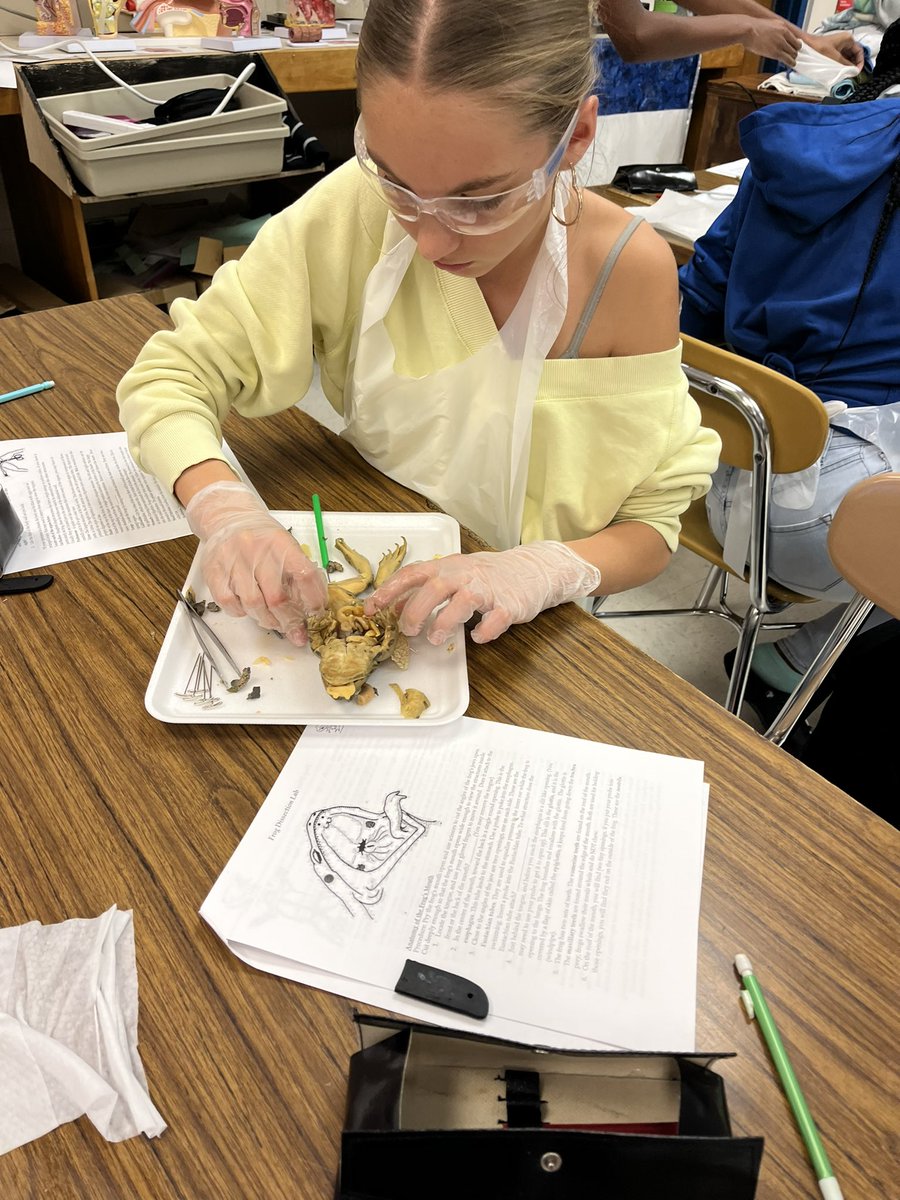 Barnanne Creech (@bwcreech) on Twitter photo What a great week <a href="/ZebulonMS/">Zebulon Gifted & Talented Magnet Middle School</a> in our @ctefornc Exploring Medical terms / body systems / health care careers elective as we completed our pickle & frog lab dissections ! Love teaching health science classes as well as family & consumer science courses!
<a href="/wcpssEastern/">Eastern Area WCPSS</a>
<a href="/WCPSS_CTE/">WCPSS CTE Programs</a> What a great week <a href="/ZebulonMS/">Zebulon Gifted & Talented Magnet Middle School</a> in our @ctefornc Exploring Medical terms / body systems / health care careers elective as we completed our pickle & frog lab dissections ! Love teaching health science classes as well as family & consumer science courses!
<a href="/wcpssEastern/">Eastern Area WCPSS</a>
<a href="/WCPSS_CTE/">WCPSS CTE Programs</a>